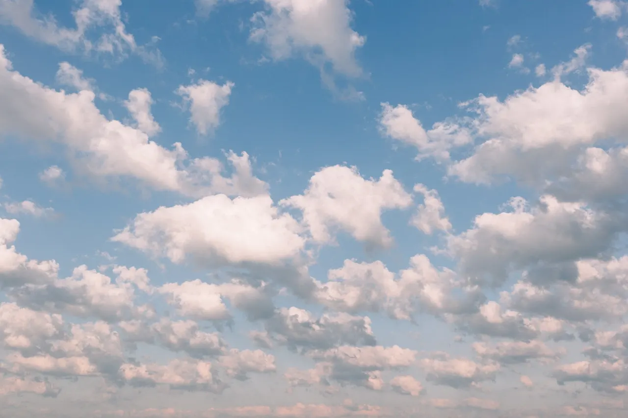 Wasabi Hot Cloud Storage: Best Cloud Provider?