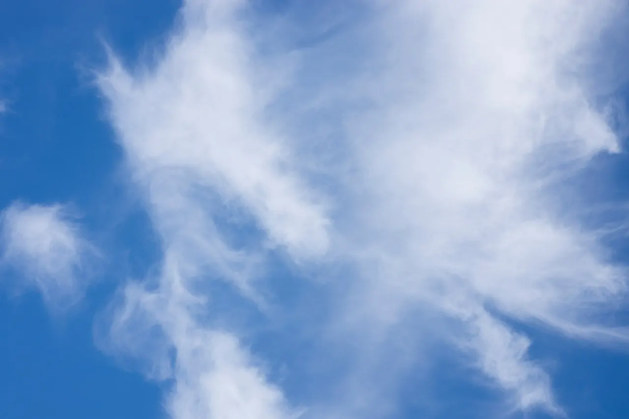 Why more businesses should try Wasabi Cloud