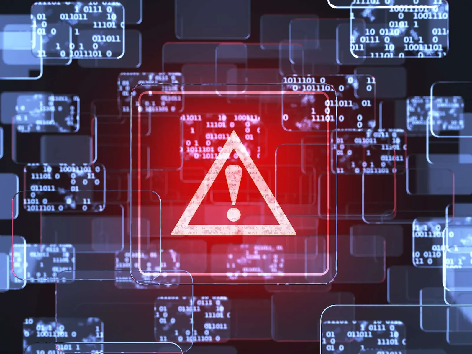How palmiq Helps Businesses Manage Risk and Drive Growth