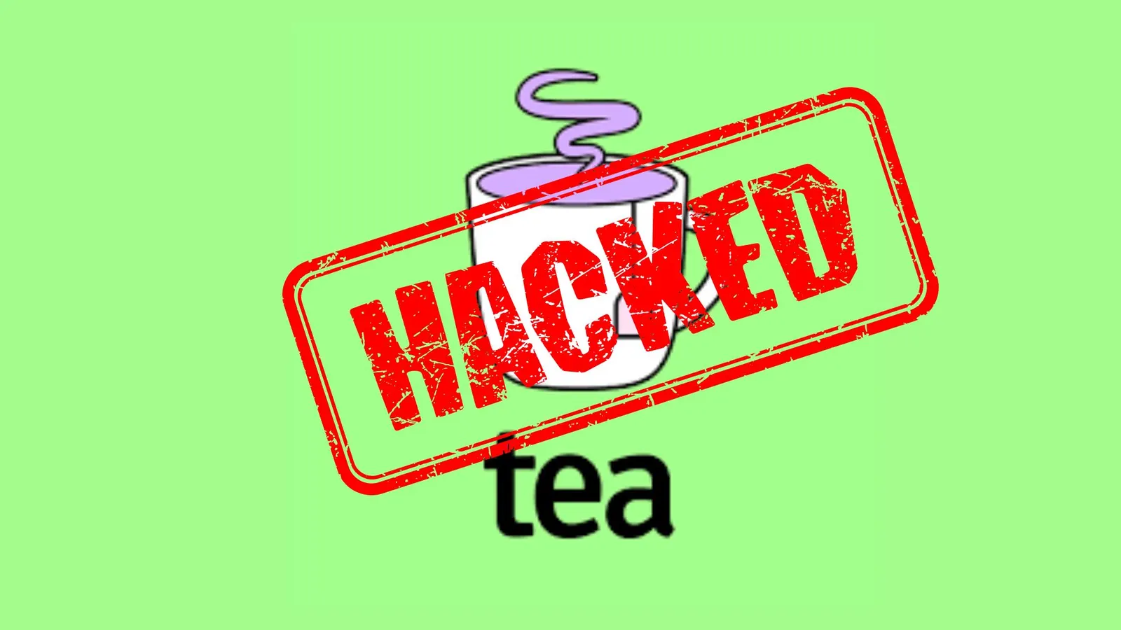 The Tea App Data Breach | palmiq