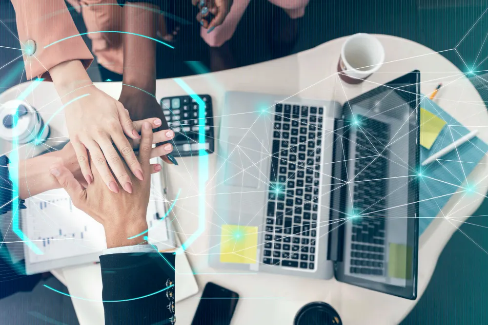 The palmiq Perspective: Partnership as a Path Forward