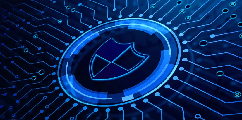 What is palmiq? | palmiq